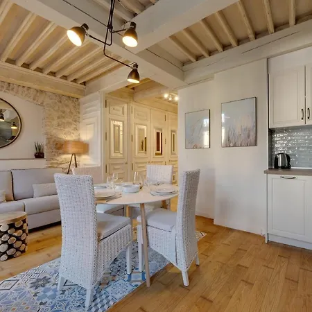 Apartment Le Balcon Perriere Ii - Charming With Direct View Of The Thiou *