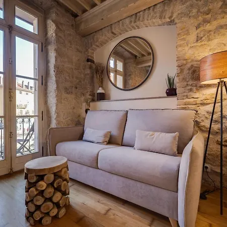 Le Balcon Perriere Ii - Charming With Direct View Of The Thiou Apartment *